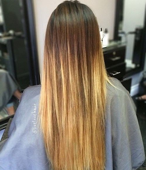 20 Ombre Hair 20 Ombre Hair