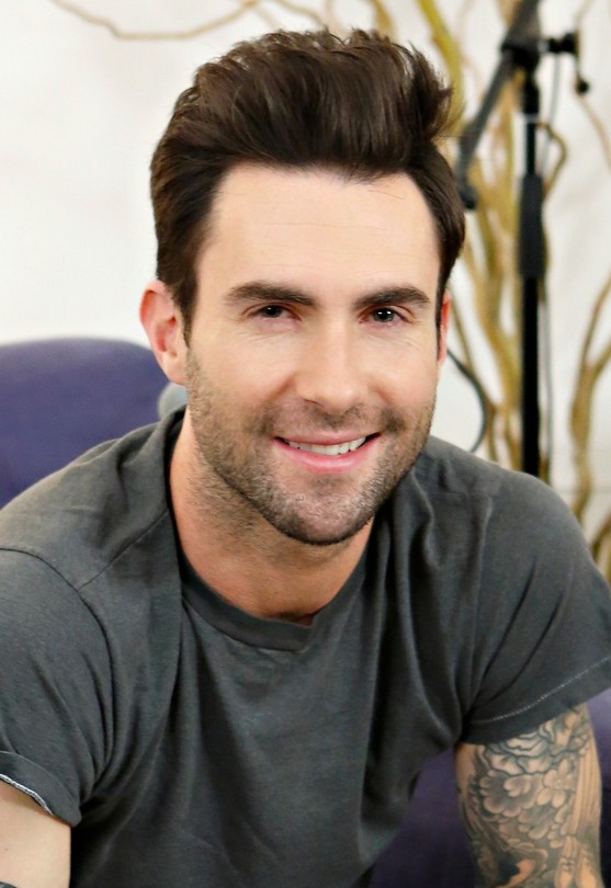 2014 Hairstyles for men from Adam Levine