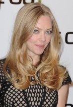 Amanda Seyfried Long Hairstyle - Middle Part Layered Hairstyle  Amanda Seyfried Long Hairstyle - Middle Part Layered Hairstyle