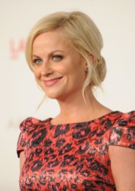 Cute Blonde Bun Updo with Tendrils for Wedding Amy Poehler Cute Blonde Bun Updo for Wedding