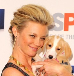 Celebrity Amy Smart French Twist Updo  Celebrity Amy Smart French Twist Updo