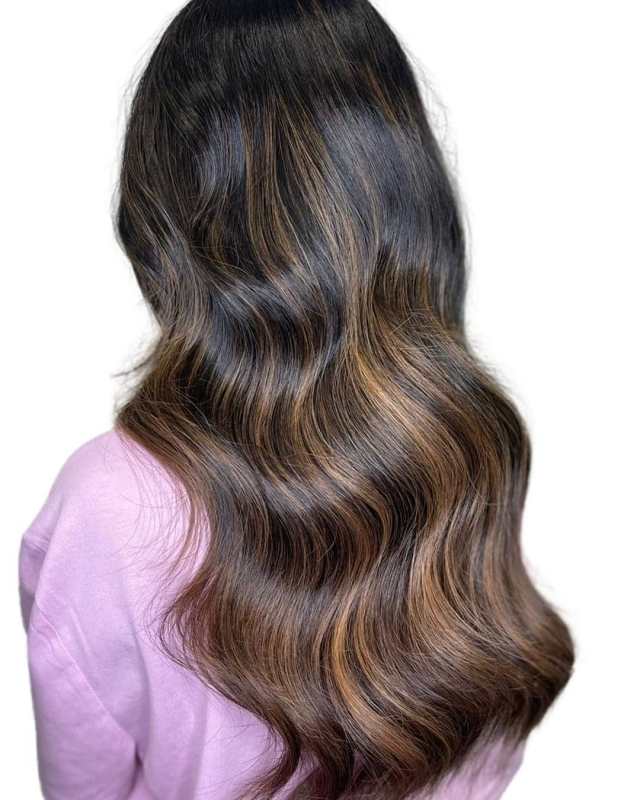 Chocolate Chestnut
