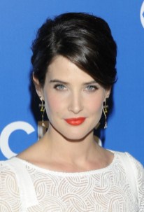 Cobie Smulders Elegant Sleek Black Updo Hairstyle Cobie Smulders Elegant Sleek Black Updo Hairstyle 2013