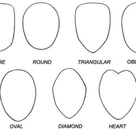 Face shapes