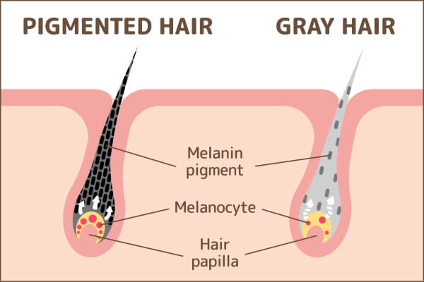 Melanin cure