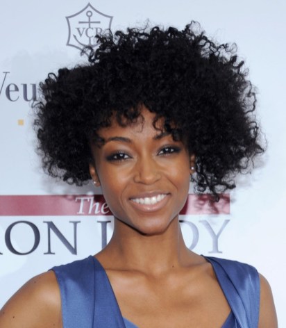 Natural curly hair styles African Americans natural curly hair styles african americans