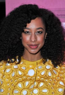 Naturally Curly Black Hairstyles Naturally Curly Black Hairstyles