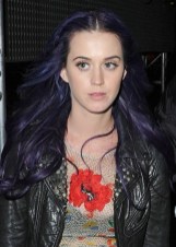 Purple Hairstyles for Long Hair Purple Hairstyles for Long Hair