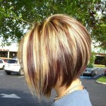 Side View of Inverted Bob with Red Blonde and Brown Highlights