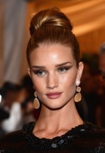 Rosie Huntington-Whiteley Bun Updo Hairstyle for Homecoming Rosie Huntington-Whiteley Bun Updo Hairstyle 2013