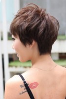 Back View of Layered Pixie Cut - Short Pixie Cut for 2025 Back View of Layered Pixie Cut - Short Pixie Cut for 2014