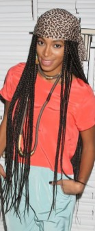 Small Braids for Natural Curly Hairstyles Small Braids for Natural Curly Hairstyles for Black Women