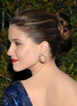 Sophia Bush Classic Bun Updo Hairstyles for Special Occasion Sophia Bush Classic Bun Updo Hairstyles for Special Occasion