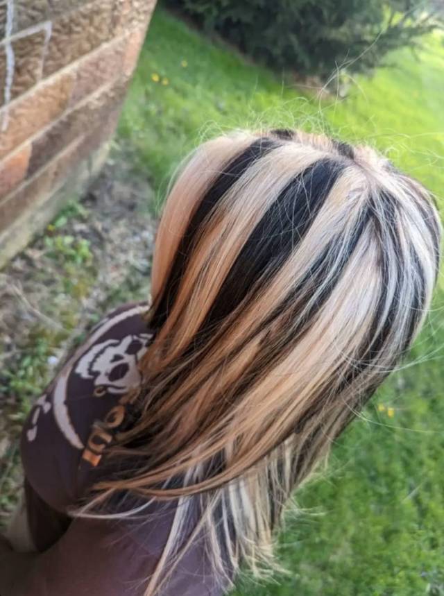 Subtle and Sleek Blonde Skunk Stripe